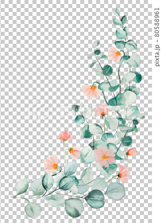 Watercolor pink flowers and green eucalyptus leaves bouquet illustration 80588961
