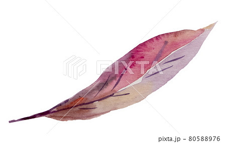 Watercolor orange autumn leaf isolated Watercolor orange autumn leaf isolated 80588976
