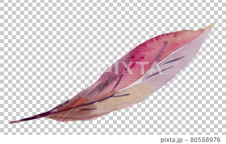 Watercolor orange autumn leaf isolated Watercolor orange autumn leaf isolated 80588976