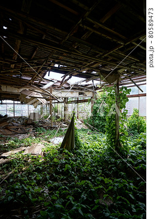 廃墟 群馬県利根郡みなかみ町 ホテル大宮 廃旅館 廃ホテル 廃温泉旅館 廃墟 群馬県利根郡みなかみ町 ホテル大宮 廃旅館 廃ホテル 廃温泉旅館 80589473