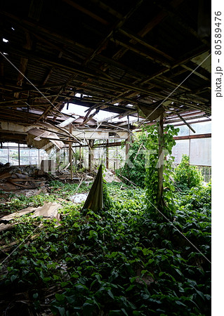 廃墟 群馬県利根郡みなかみ町 ホテル大宮 廃旅館 廃ホテル 廃温泉旅館 廃墟 群馬県利根郡みなかみ町 ホテル大宮 廃旅館 廃ホテル 廃温泉旅館 80589476