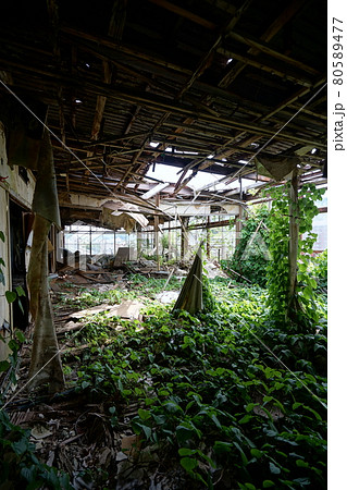 廃墟 群馬県利根郡みなかみ町 ホテル大宮 廃旅館 廃ホテル 廃温泉旅館 廃墟 群馬県利根郡みなかみ町 ホテル大宮 廃旅館 廃ホテル 廃温泉旅館 80589477