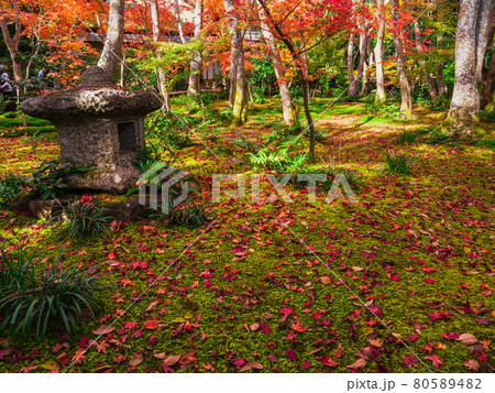 秋の京都 祇王寺 秋の京都 祇王寺 80589482
