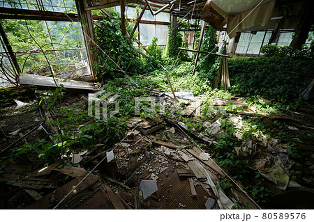 廃墟 群馬県利根郡みなかみ町 ホテル大宮 廃旅館 廃ホテル 廃温泉旅館 廃墟 群馬県利根郡みなかみ町 ホテル大宮 廃旅館 廃ホテル 廃温泉旅館 80589576