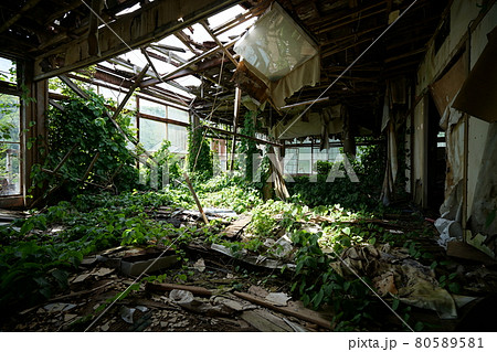 廃墟 群馬県利根郡みなかみ町 ホテル大宮 廃旅館 廃ホテル 廃温泉旅館 廃墟 群馬県利根郡みなかみ町 ホテル大宮 廃旅館 廃ホテル 廃温泉旅館 80589581