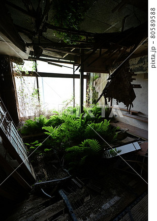 廃墟 群馬県利根郡みなかみ町 ホテル大宮 廃旅館 廃ホテル 廃温泉旅館 廃墟 群馬県利根郡みなかみ町 ホテル大宮 廃旅館 廃ホテル 廃温泉旅館 80589588