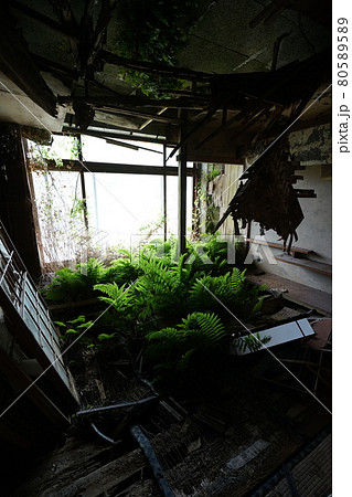 廃墟 群馬県利根郡みなかみ町 ホテル大宮 廃旅館 廃ホテル 廃温泉旅館 廃墟 群馬県利根郡みなかみ町 ホテル大宮 廃旅館 廃ホテル 廃温泉旅館 80589589