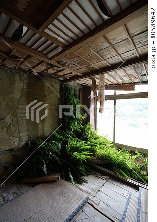 廃墟 群馬県利根郡みなかみ町 ホテル大宮 廃旅館 廃ホテル 廃温泉旅館 廃墟 群馬県利根郡みなかみ町 ホテル大宮 廃旅館 廃ホテル 廃温泉旅館 80589642