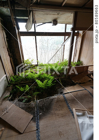 廃墟,廃墟マニア,廃墟巡行,廃屋,建物,建築,古い,レトロ,歴史的建造物 