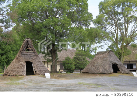 常陸風土記の丘 縄文、弥生時代住居 常陸風土記の丘 縄文、弥生時代住居 80590210