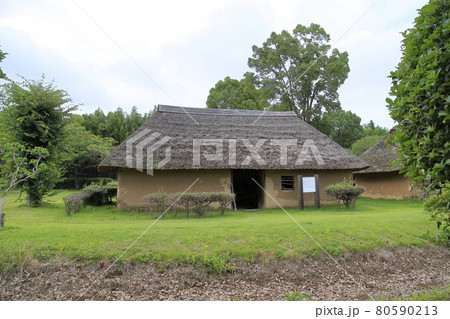 常陸風土記の丘 縄文、弥生時代住居 常陸風土記の丘 縄文、弥生時代住居 80590213