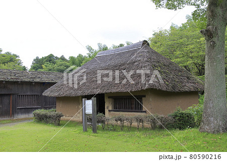 常陸風土記の丘 縄文、弥生時代住居 常陸風土記の丘 縄文、弥生時代住居 80590216