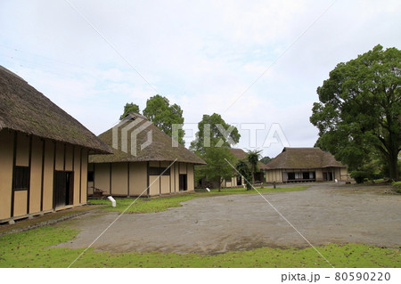 常陸風土記の丘　縄文、弥生時代住居 80590220