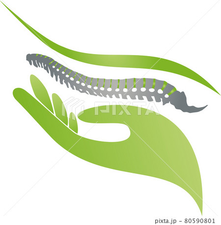 Orthopedics, physiotherapy, spine, massage, logo  80590801