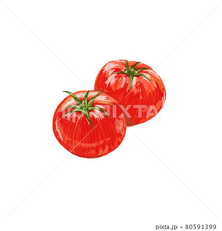 トマトの手描きイラスト素材のイラスト素材
