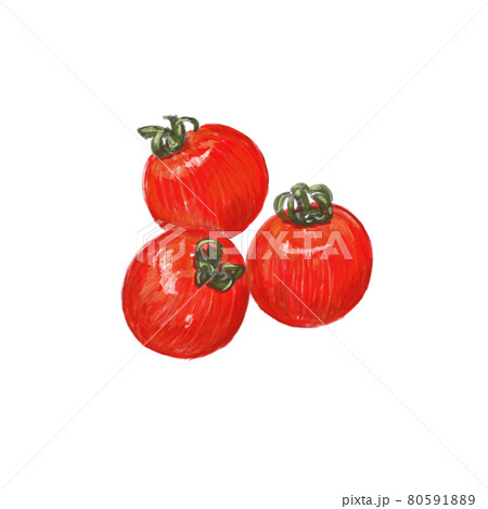 ミニトマトの手描きイラスト素材のイラスト素材