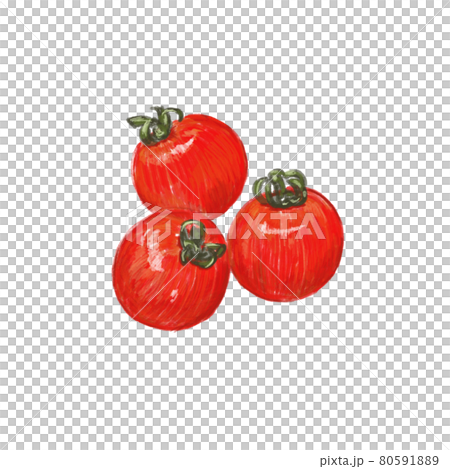 ミニトマトの手描きイラスト素材のイラスト素材