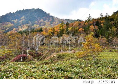秋の田ノ原湿原 秋の田ノ原湿原 80592103