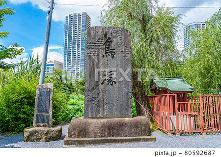 東京の都市風景 不忍池辯天堂周辺の風景 東京の都市風景 不忍池辯天堂周辺の風景 80592687