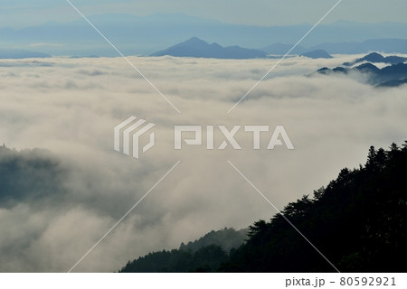 野迫川村の雲海 野迫川村の雲海 80592921