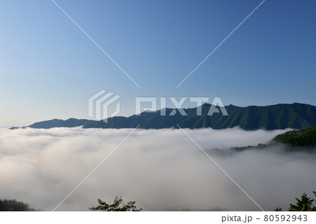 野迫川村の雲海 80592943
