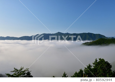 野迫川村の雲海 80592944
