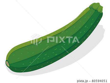 夏野菜　ズッキーニ 80594051