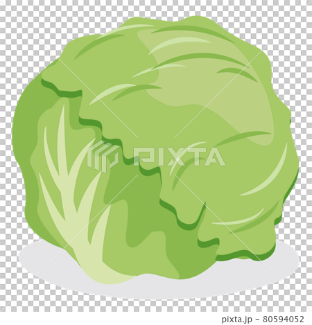 生菜/球生菜 80594052