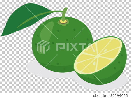 Sudachi / Kabosu 80594053