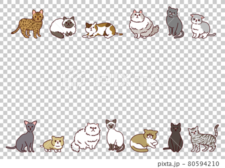 いろいろな種類のかわいい猫たちの横長イラストフレーム 80594210
