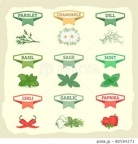 vector herbs set vector herbs set 80594271