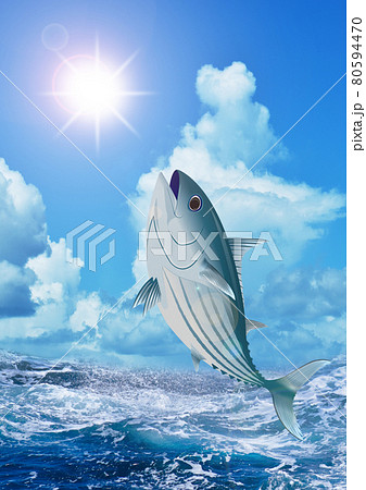 カツオと荒波と太陽（タテ） 80594470