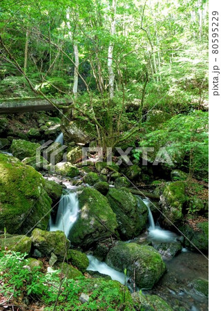 美霞洞渓谷の景色①【香川県仲多度郡まんのう町】 80595229