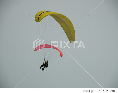 飛ぶ 飛行 ハエ 80595396