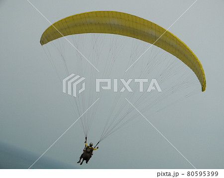 飛ぶ 飛行 ハエ 80595399