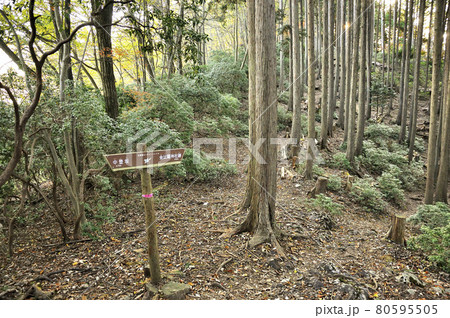 奥武蔵 名栗金比羅山の尾根道 奥武蔵 名栗金比羅山の尾根道 80595505
