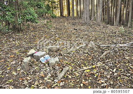 奥武蔵 名栗金比羅山 山頂の三角点 奥武蔵 名栗金比羅山 山頂の三角点 80595507