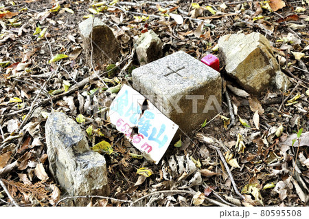 奥武蔵 名栗金比羅山 山頂の三角点 奥武蔵 名栗金比羅山 山頂の三角点 80595508