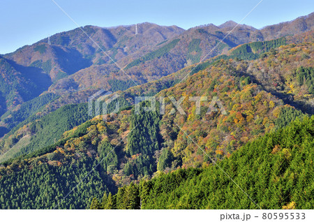 奥武蔵　大ヨケノ頭より紅葉の奥秩父 80595533