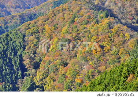 奥武蔵の大ヨケノ頭より紅葉の山肌を望む 奥武蔵の大ヨケノ頭より紅葉の山肌を望む 80595535