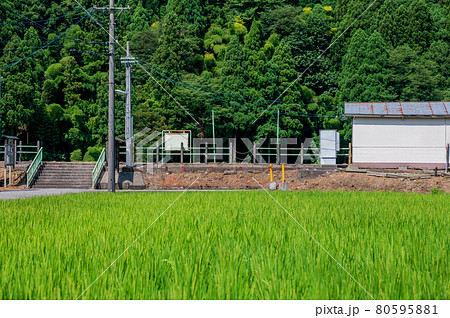 夏休みの一枚、ローカルな駅(福井県・一乗谷駅)2021年7月撮影 夏休みの一枚、ローカルな駅(福井県・一乗谷駅)2021年7月撮影 80595881