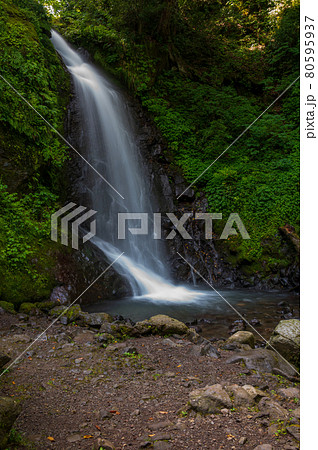落差12mの荘厳な水の糸を引く一乗滝（2021年7月末撮影） 80595937