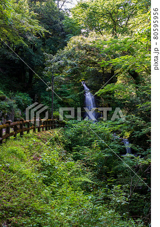 落差12mの荘厳な水の糸を引く一乗滝(2021年7月末撮影) 落差12mの荘厳な水の糸を引く一乗滝(2021年7月末撮影) 80595956