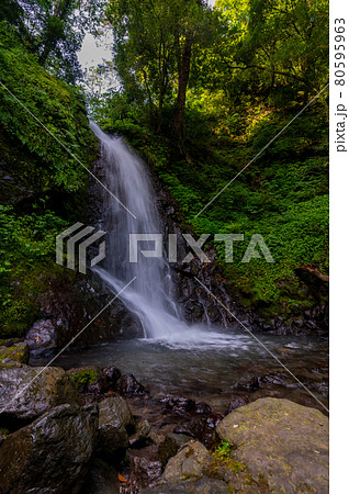 落差12mの荘厳な水の糸を引く一乗滝(2021年7月末撮影) 落差12mの荘厳な水の糸を引く一乗滝(2021年7月末撮影) 80595963