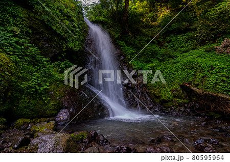 落差12mの荘厳な水の糸を引く一乗滝（2021年7月末撮影） 80595964