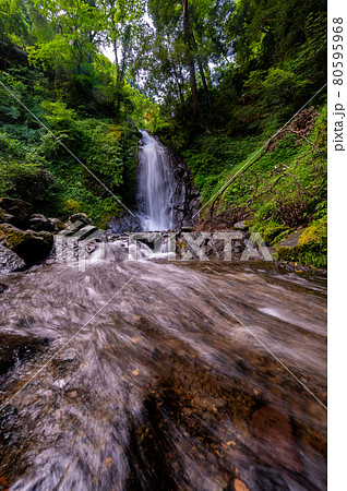 落差12mの荘厳な水の糸を引く一乗滝（2021年7月末撮影） 80595968