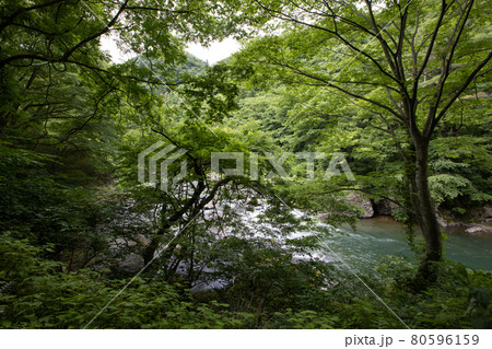 ［宮城県］小原温泉　 80596159