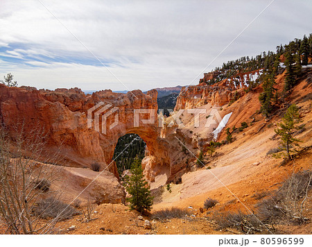 Natural Bridge of Bryce Canyon National Park 80596599