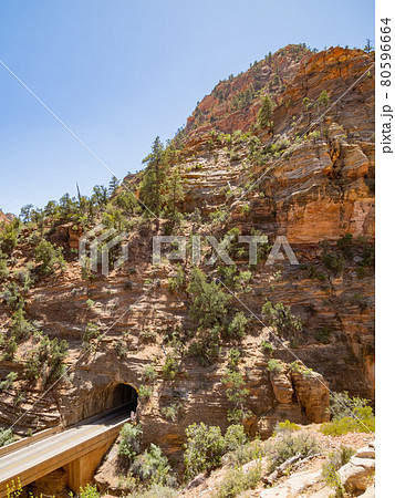 Sunny view of The Zion Mount Carmel Tunnel in Zion Ntaional Park 80596664