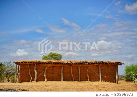 アフリカ　タンザニア　の大陸風景 80596972